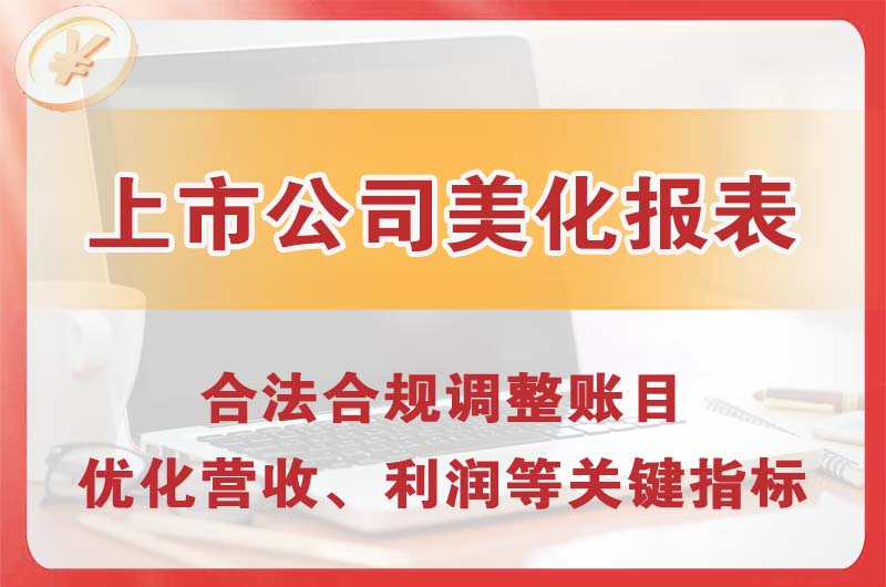 海伦上市公司美化报表
